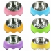 Colorful S/S Dog Bowl w/ Anti Slip Plastic Base