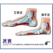 Comfort Insoles