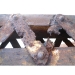 Cathodique Protection contre la corrosion