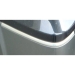 Windshield Moldings