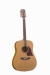 Guitars