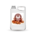 Caramel Syrup