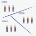 Colorful Glue Stick