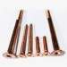 Phillips Head Wood Screws