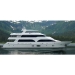 Yacht Mega della piattaforma triplice 115