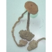 Ganoderma herb