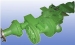 Metal Castings for Tractor, Lawn Mower, Harvester and Other Agricultural Machinery Parts