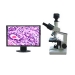 Digital Biomicroscope