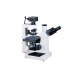 Inverted Microscope