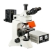 Fluorescence Microscope