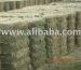 Suncured alfalfa bal