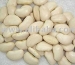 Hihg Kualitas Lima Bean Availanle