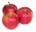 SEGAR APPLES DAN BUAH & SAYURAN LAIN