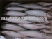 Scombro pacifico Frozen