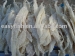 Snailfish salato a secco Fillet/Migas