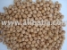 Chickpeas - ukuran 7 mm - panen Agustus 2010