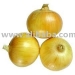 Органические onions