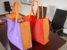 Pantai Bag, Tas Promosi