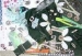 Garment Accessories