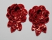sequins appliques