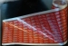 Polypropylene spumato Film per Lables