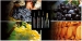 Italian Quality Wines