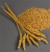3.Class Soft Kazakhstan Wheat for bread