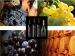 Italian Quality White Wine (2010308)
