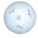 Luce di soffitto fluorescente