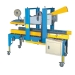 Carton Packing Machine