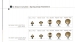 spring snap fasteners
