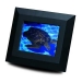 digital picture frame