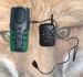 Electronic game caller