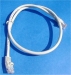 Cat 5 Cable