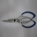Garden Scissors