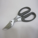 Garden Scissors