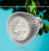 LED Lampu Spot 5W