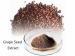 Grape Seed Extract