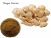 Ginger Extract