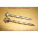 Hex Flange Head Screw