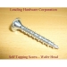 Wafer Head Screws