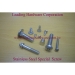 Stainless Steel Set Screws