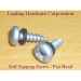 Pan Head Tapping Screw