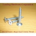 Tornillo de cabeza de bugle