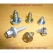 Kepala Hex Screw