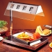 Electric Food Warmer
