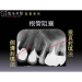 Root Canal Surgery