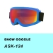 Mirrored Snow Goggles