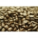 Guatemala coffee