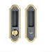 black and gold sliding door lock